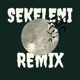 Sekeleni feat ExTrA Dala Fam Remix Single