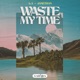 Waste My Time Single
