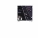 Ten Rapid Collected Recordings 1996 1997