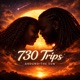 730Trips Around The Sun Single