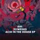 Acid in the House EP