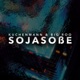 Sojasoße Single