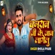 Chamran Ji Ke Jan Lagelu Single
