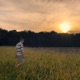 Sunset Single