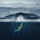 Submerged Single