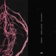 Roots feat ScottyMay Single