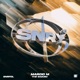 The Swarm Single