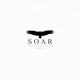 Soar Single