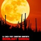 Moonlight Shadow feat Christina Danforth