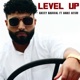 LEVEL UP feat AMAR ARSHI Single