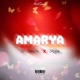 Amarya feat Styloo Single