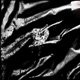 Tell Me Instrumental Single