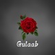 Gulaab Single