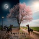 Aquí sigo feat Gsus4 Single