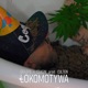 Lokomotywa Single