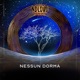 Nessun Dorma Single