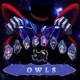 Owls Single