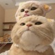 me and u Single