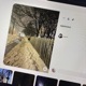одиноко Single