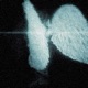 angel love Single