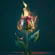 Fire and Desire Radio Edit Single
