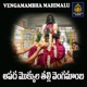 Apada mokkula thalli vengamamba Single