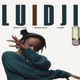 LUIDGI Single