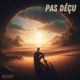 Pas déçu Single