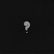 20 Questions Single