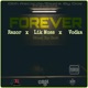 Forever feat Razor Lik Moss Vodka Single