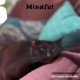 Mindful Single