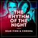 The Rhythm of the Night Single