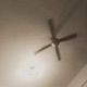 Ceiling Fan Single