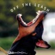 Off the Leash Single