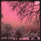 Still the Same feat BamSavage Single