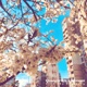 Blue Sky Thinking Single