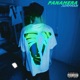 Panamera Single