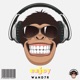 Enjoy Single