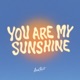 YOU ARE MY SUNSHINE Single