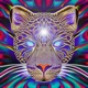 Jaguar Single