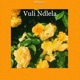 Vuli Ndlela Single
