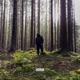 November Single