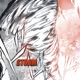 Storm Single