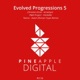 Evolved Progressions 5 Single