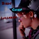 Birds Chirp Lullabies Single