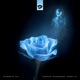 Shadow of You Single