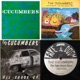 The Fake Doom Years 1983 1986 The Cucumbers Who Betrays Me And Other Happier Songs All Shook Up