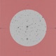 the moon and the plum blossom Single