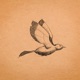Soul of a Bird Single