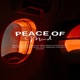 BLACK LIVES Tribute Radio Edit Single